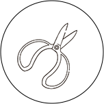 植木、庭木の剪定